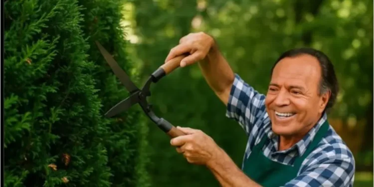 C65JHAJBH5E6HIHZKULYARPFEA Memes de julio: Julio Iglesias en tendencia