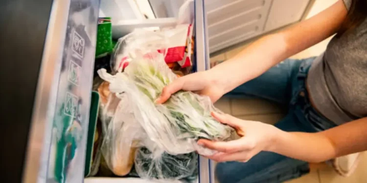 EGS5X6IGYZCRFGBY6FVLWAURKE Alimentos que congelados mantienen su nutrición