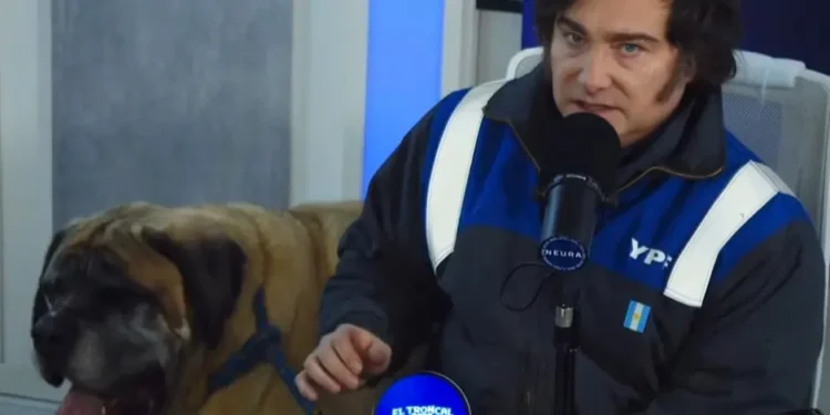 F2WIOW2LM5C6JF74TCUWWYPOUM Milei responsabiliza a Kicillof por fallo contra YPF y anuncia apelación