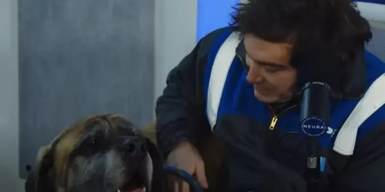 UPWTQOKGKJDELPYEBOCJ2IZW3U Milei lleva a su perro Conan a programa de streaming