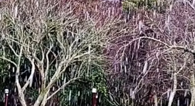 WPX2XV4YTBGBFAFZZ3WDL5LSY4 Nieve en Miramar y expectativa en Mar del Plata