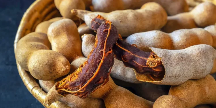 XIVBOVGY45GEJLZYYAHI5UGW4A Tamarindo: la fruta nutritiva que debes probar