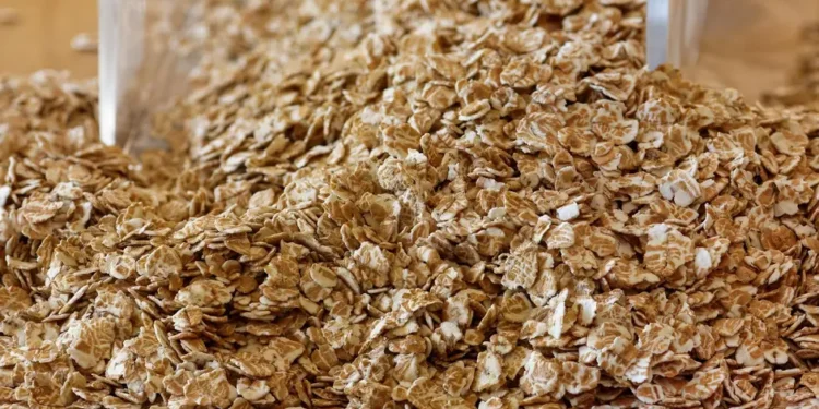YRJKSNPFB5BEFMA47V2GL6I524 Ventajas y desventajas de consumir avena en la dieta diaria
