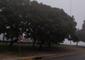 4PPV5E6GAVEJZOMOKF6SPP3NLE El frío regresa al AMBA con mínimas que alcanzarán 3 grados