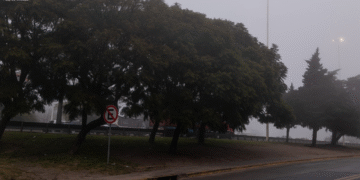 4PPV5E6GAVEJZOMOKF6SPP3NLE El frío regresa al AMBA con mínimas que alcanzarán 3 grados