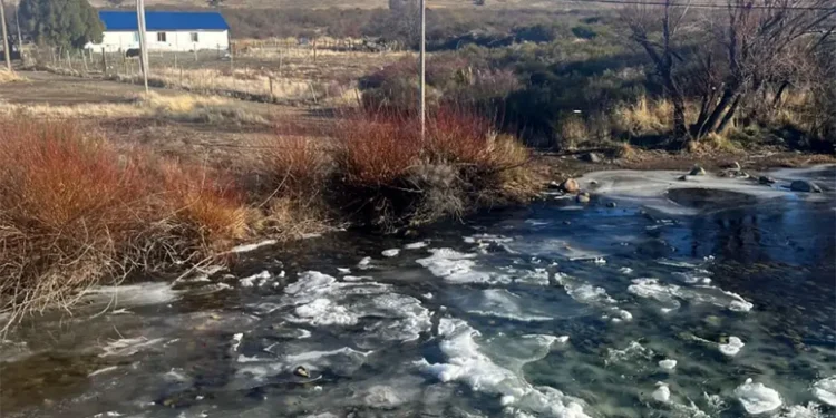 HHGUS4APWZALZJBGZXVXMOVXHI Se congeló un río en Neuquén y decenas de truchas nadaron por debajo en medio del frío extremo