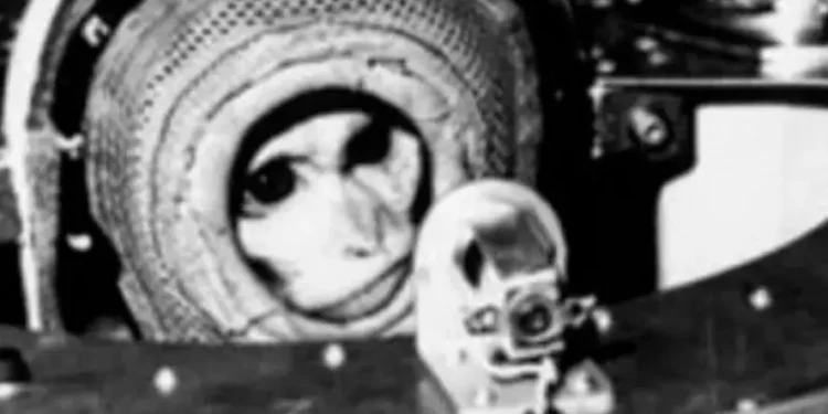 WXZORWC5JFCFFOW2N6WUDNBFU4 Juan, el mono argentino que cruzó la atmósfera y se convirtió en un símbolo espacial