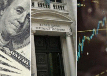 dolar reservas y riesgo pais El Tesoro compra casi u$s500 millones y fortalece las reservas del BCRA