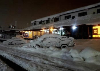 neuquen nievejpg Pulso Polar: frío intenso y nevadas afectarán Argentina este fin de semana