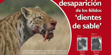 nm07 05dientesable Descubren la verdadera causa de la extinción de los tigres dientes de sable