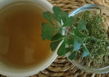 archivo 1095655 130350 Precauciones al consumir té de ruda en el Día de la Pachamama