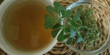 archivo 1095655 130350 Precauciones al consumir té de ruda en el Día de la Pachamama