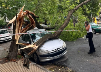 FC5XZIRBQBCWXOI5AL762LNKTU Fuerte temporal en Mar del Plata: volaron techos, cayeron árboles y hubo un herido