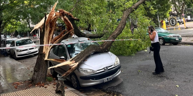 FC5XZIRBQBCWXOI5AL762LNKTU Fuerte temporal en Mar del Plata: volaron techos, cayeron árboles y hubo un herido